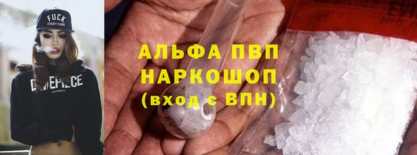 сатива Арсеньев