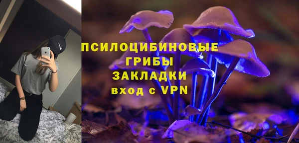 сатива Арсеньев